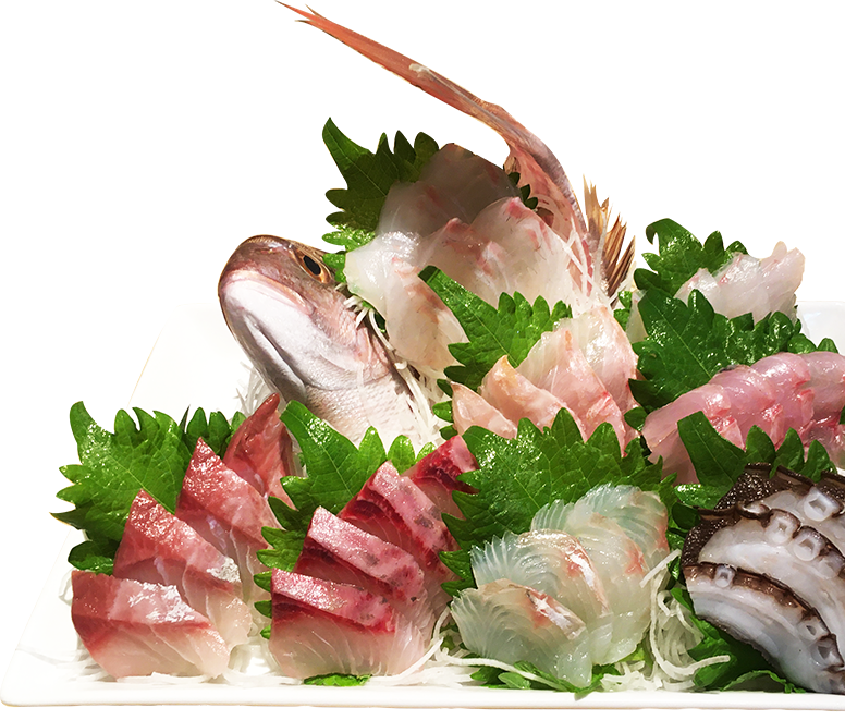 逗子 居酒屋 刺身